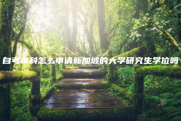 自考本科怎么申请新加坡的大学研究生学位吗