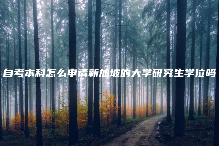 自考本科怎么申请新加坡的大学研究生学位吗