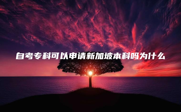 自考专科可以申请新加坡本科吗为什么