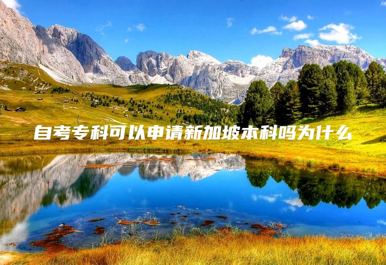 自考专科可以申请新加坡本科吗为什么