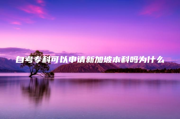 自考专科可以申请新加坡本科吗为什么