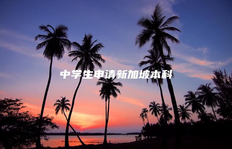 中学生申请新加坡本科