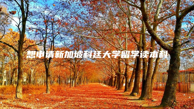想申请新加坡科廷大学留学读本科