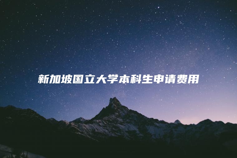 新加坡国立大学本科生申请费用