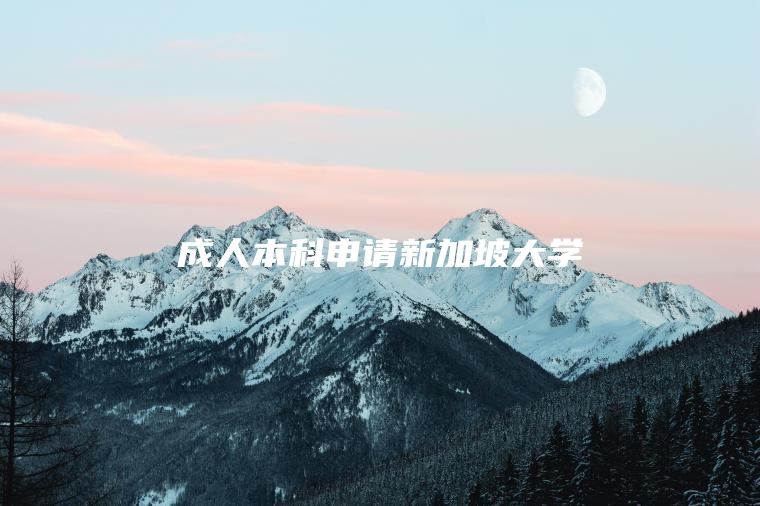 成人本科申请新加坡大学