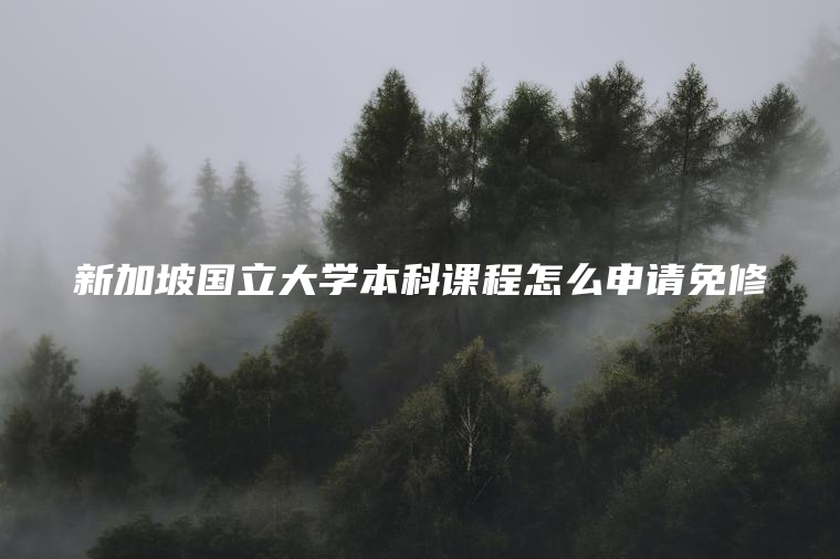 新加坡国立大学本科课程怎么申请免修