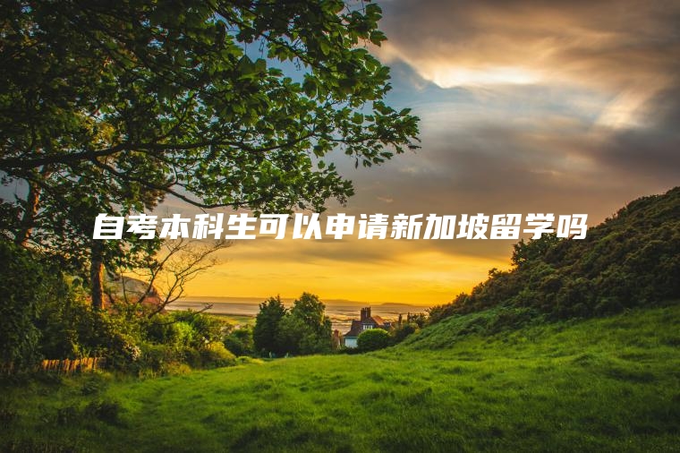 自考本科生可以申请新加坡留学吗