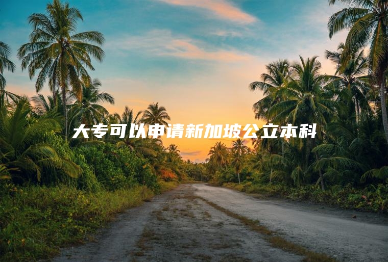 大专可以申请新加坡公立本科