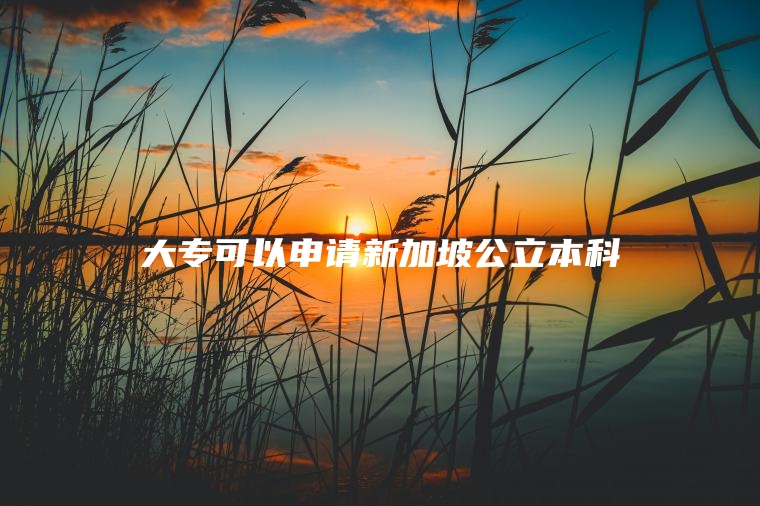 大专可以申请新加坡公立本科