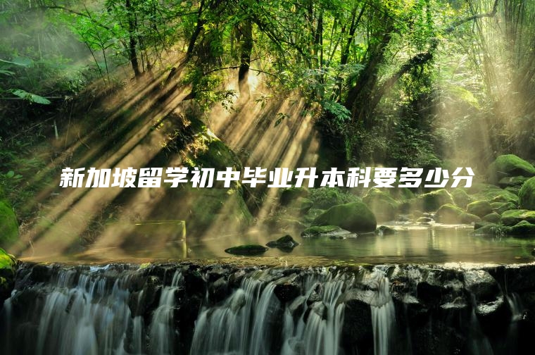 新加坡留学初中毕业升本科要多少分