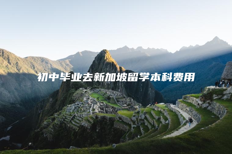 初中毕业去新加坡留学本科费用