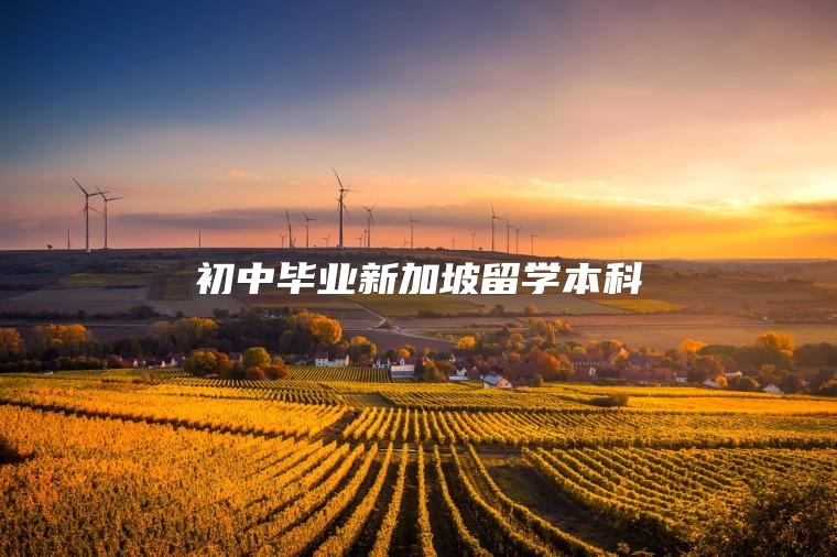 初中毕业新加坡留学本科