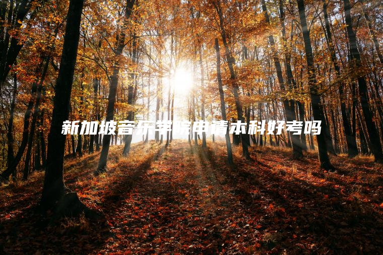 新加坡音乐学院申请本科好考吗