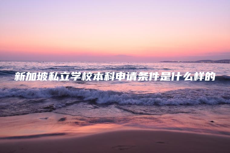 新加坡私立学校本科申请条件是什么样的