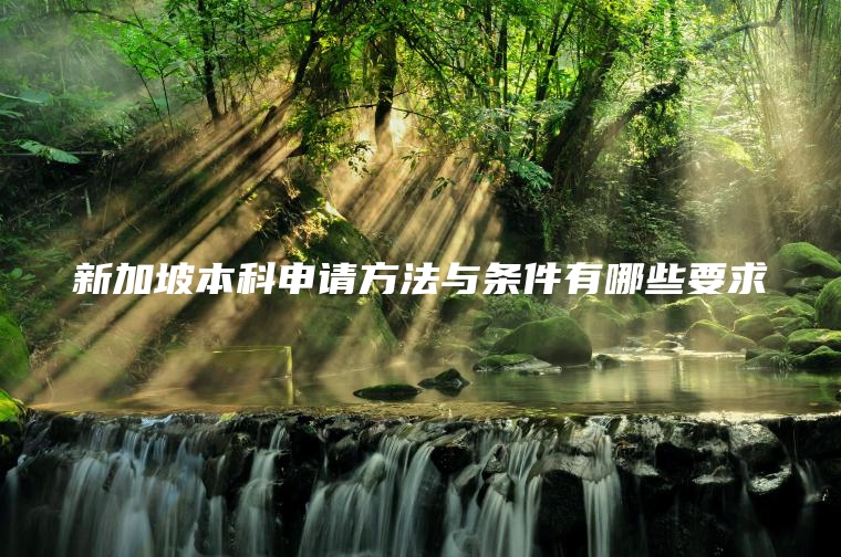 新加坡本科申请方法与条件有哪些要求