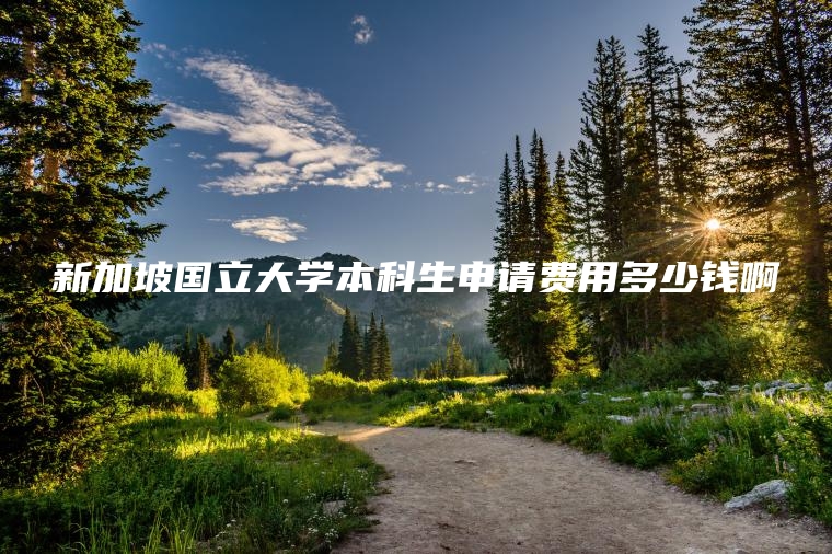 新加坡国立大学本科生申请费用多少钱啊