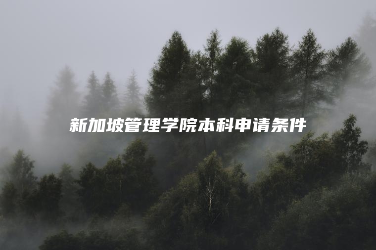 新加坡管理学院本科申请条件