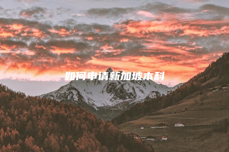 如何申请新加坡本科