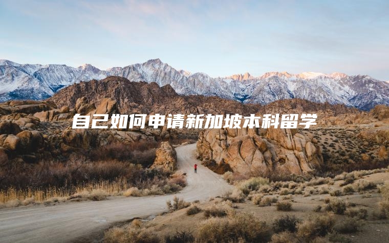 自己如何申请新加坡本科留学
