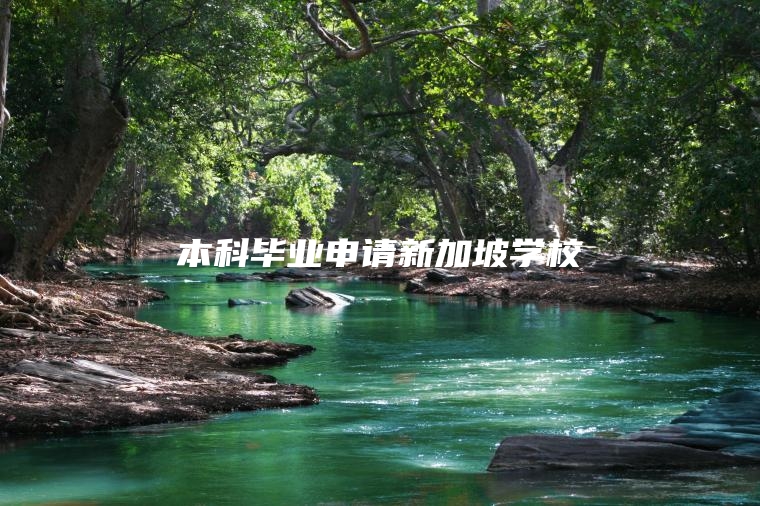 本科毕业申请新加坡学校