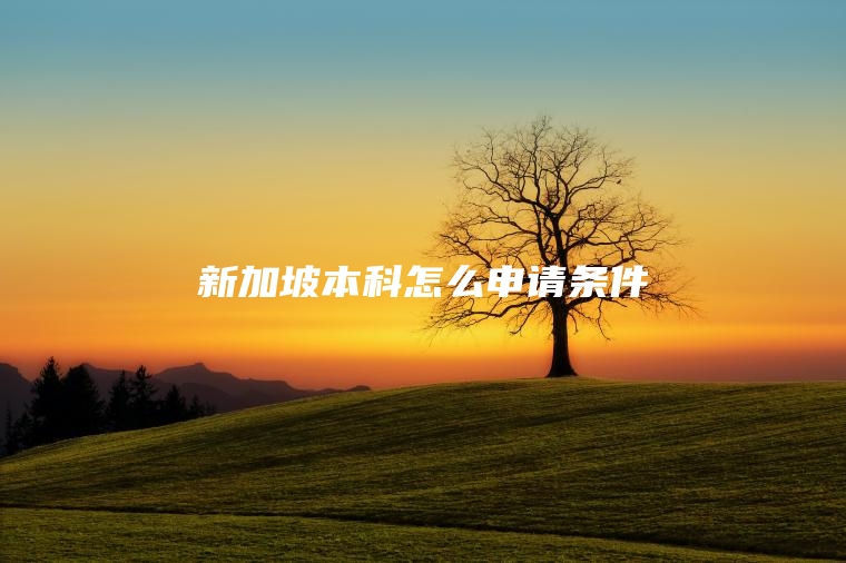 新加坡本科怎么申请条件