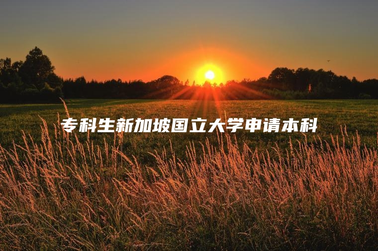 专科生新加坡国立大学申请本科
