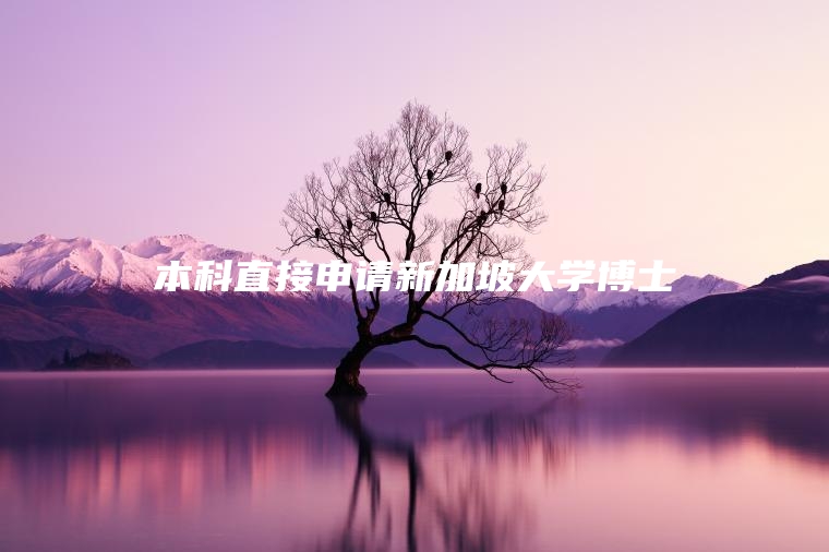 本科直接申请新加坡大学博士