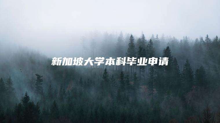 新加坡大学本科毕业申请