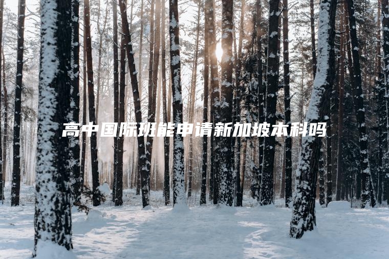 高中国际班能申请新加坡本科吗
