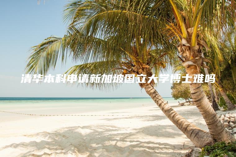 清华本科申请新加坡国立大学博士难吗