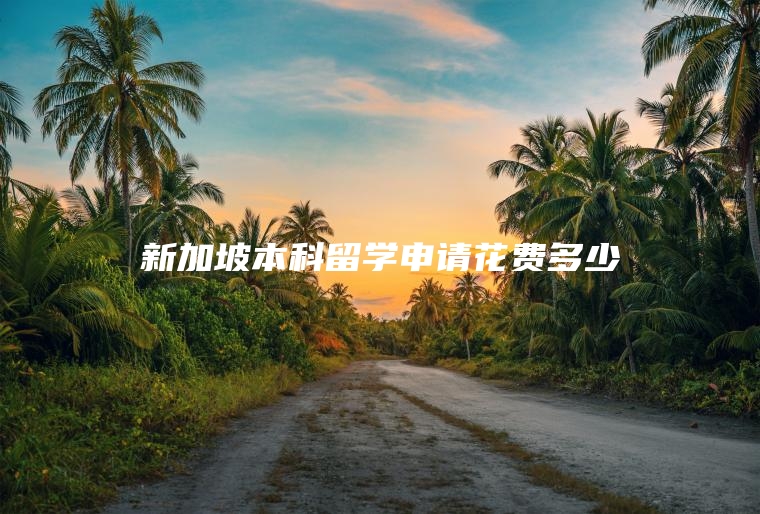 新加坡本科留学申请花费多少