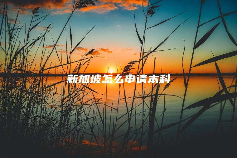 新加坡怎么申请本科