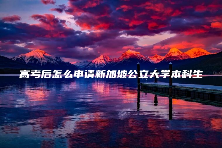 高考后怎么申请新加坡公立大学本科生