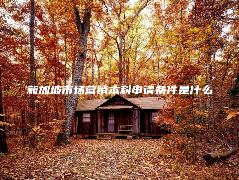 新加坡市场营销本科申请条件是什么