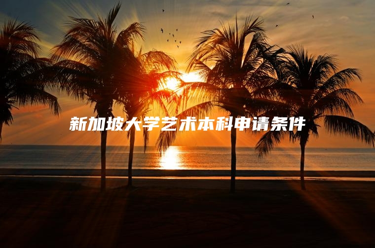 新加坡大学艺术本科申请条件