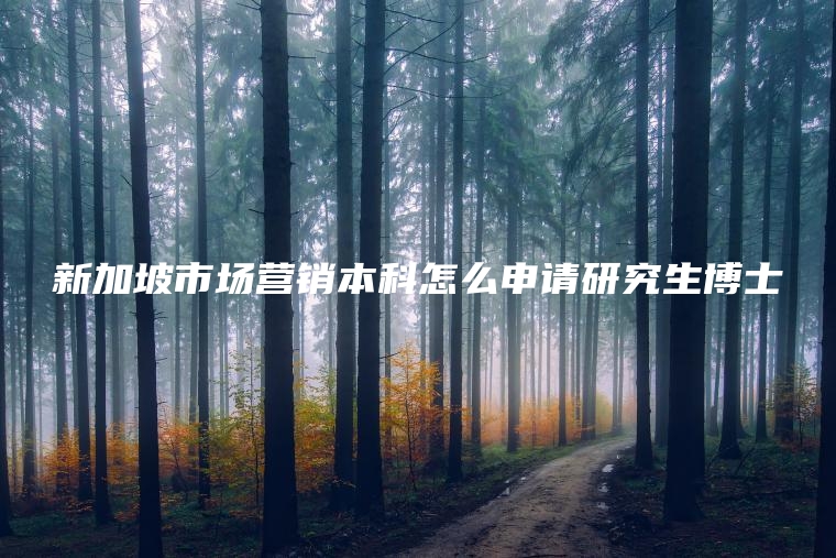 新加坡市场营销本科怎么申请研究生博士