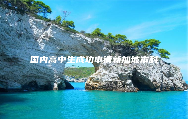 国内高中生成功申请新加坡本科