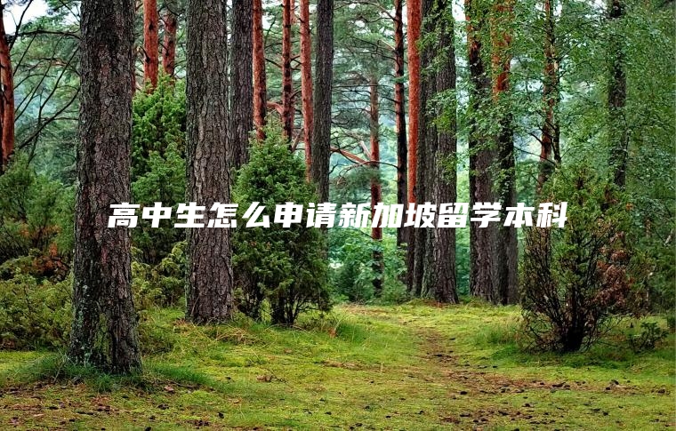 高中生怎么申请新加坡留学本科