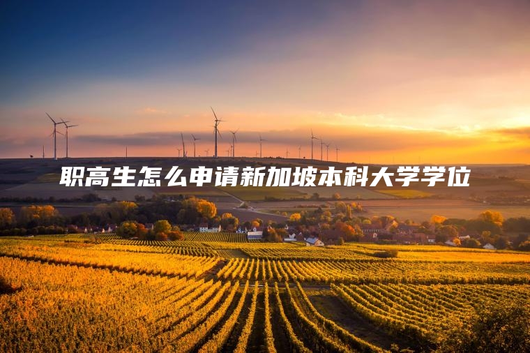 职高生怎么申请新加坡本科大学学位