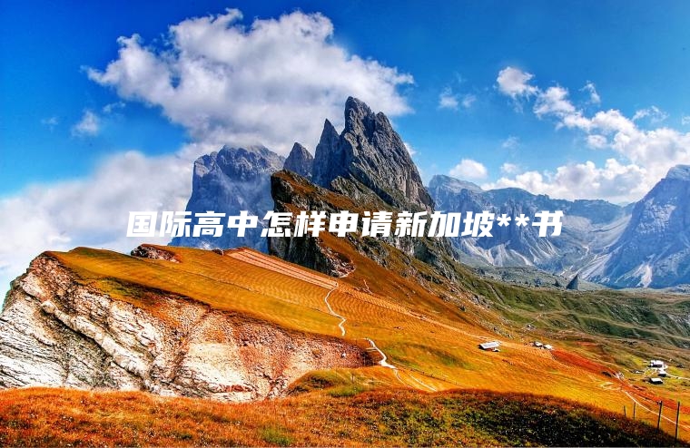 国际高中怎样申请新加坡**书