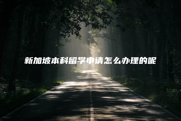 新加坡本科留学申请怎么办理的呢