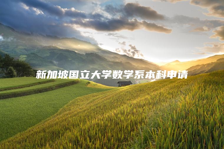 新加坡国立大学数学系本科申请