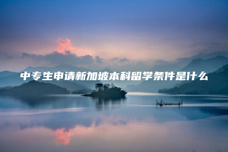 中专生申请新加坡本科留学条件是什么