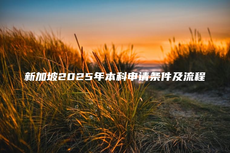 新加坡2025年本科申请条件及流程