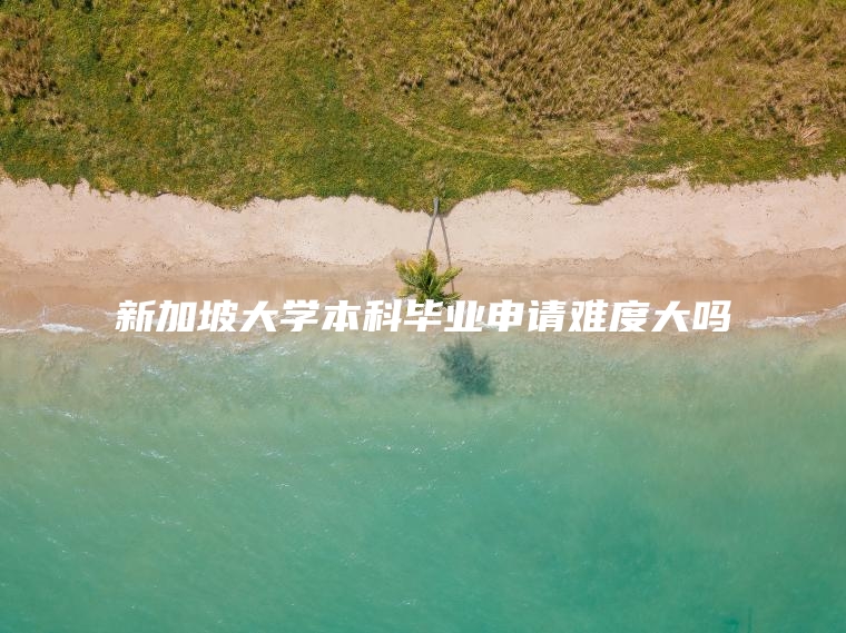 新加坡大学本科毕业申请难度大吗