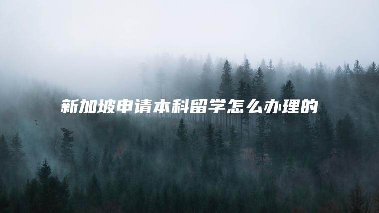 新加坡申请本科留学怎么办理的