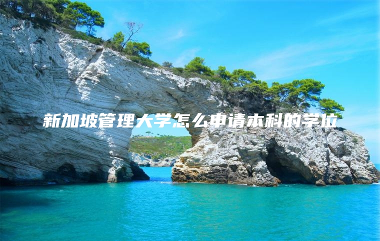 新加坡管理大学怎么申请本科的学位
