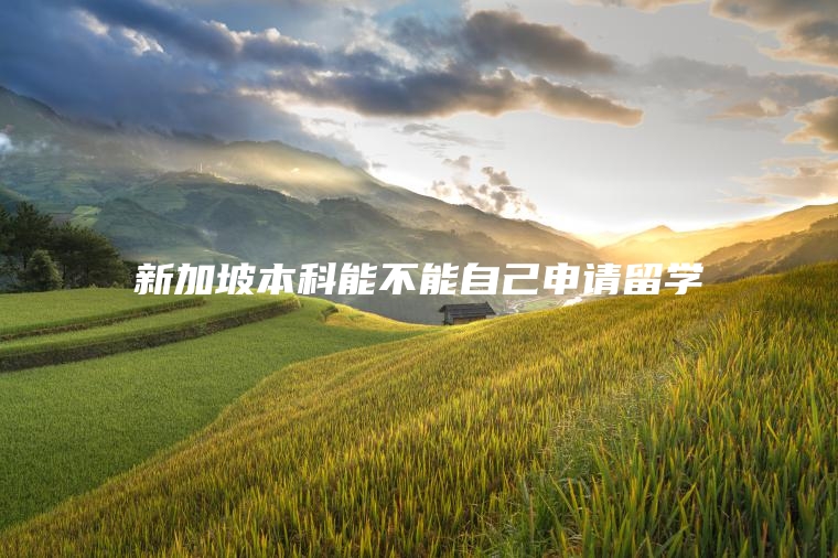 新加坡本科能不能自己申请留学