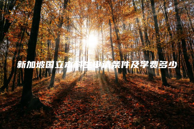 新加坡国立本科生申请条件及学费多少