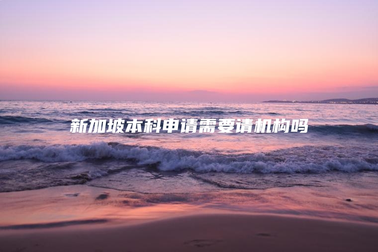 新加坡本科申请需要请机构吗